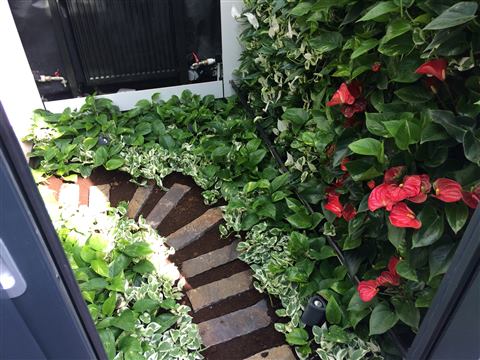 Grădină verticală cu plante naturale – Vilă rezidențială, foto 2 din 9